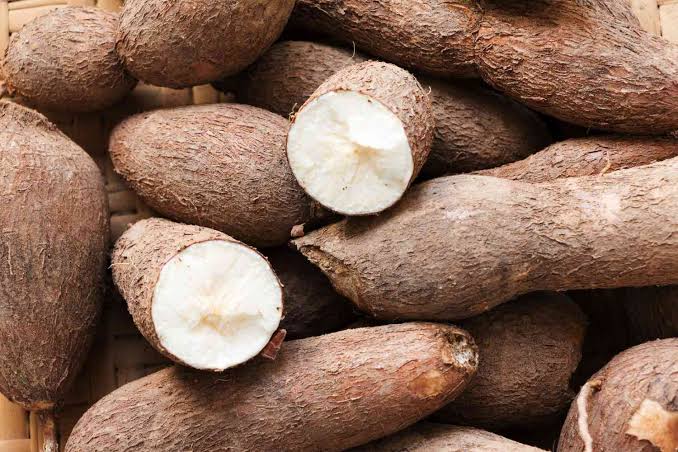 Cassava | Yogros